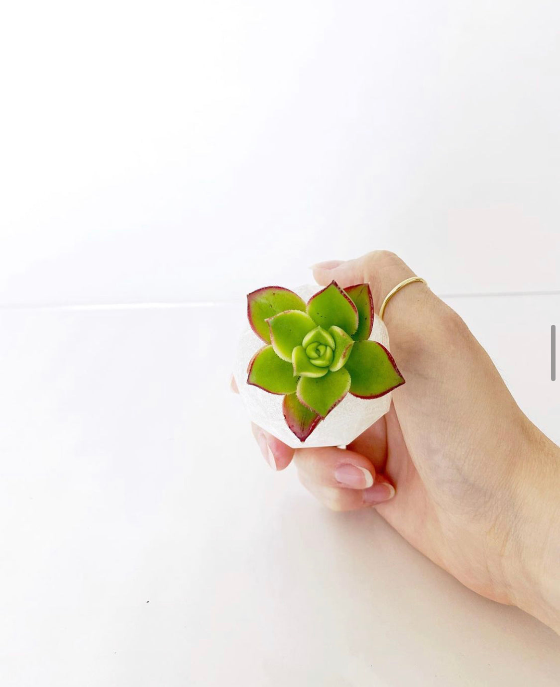3D Printable Succulent Pots | Geometric Set