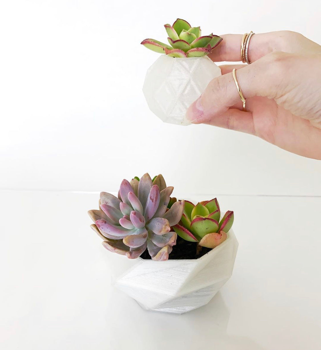 3D Printable Succulent Pots | Geometric Set
