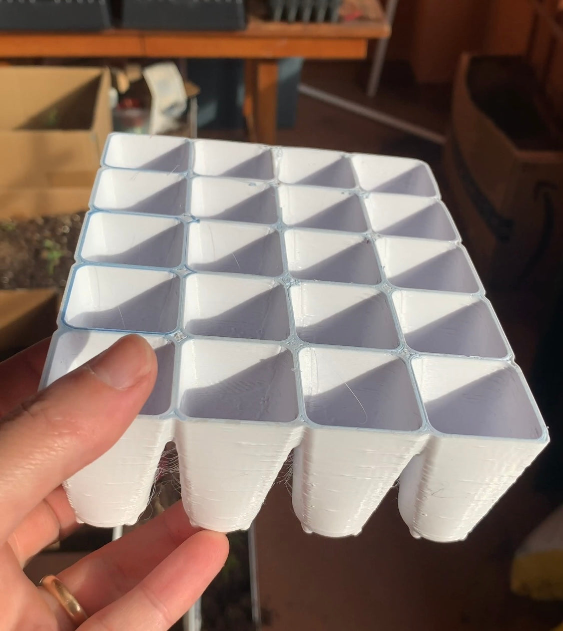 Re-usable Seed Trays
