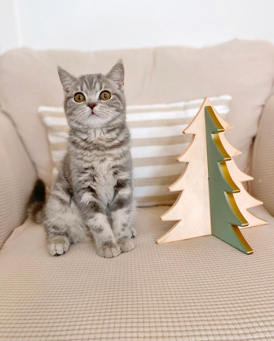 Christmas Trees