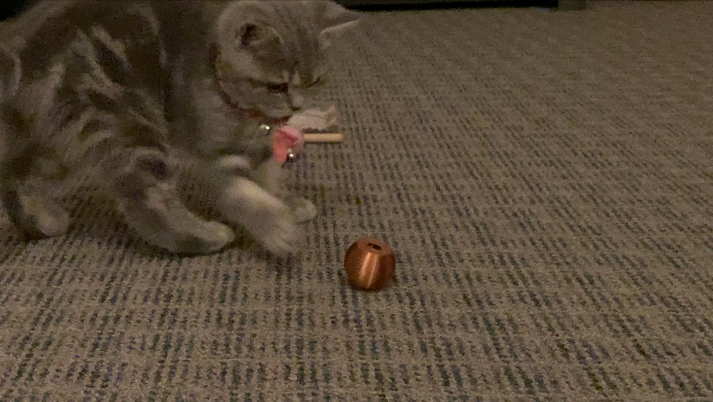 Rattling Cat Toy