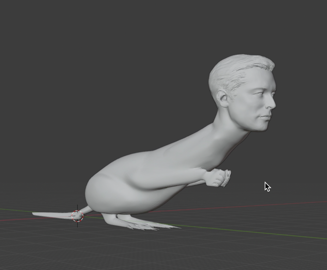 Elongated Muskrat