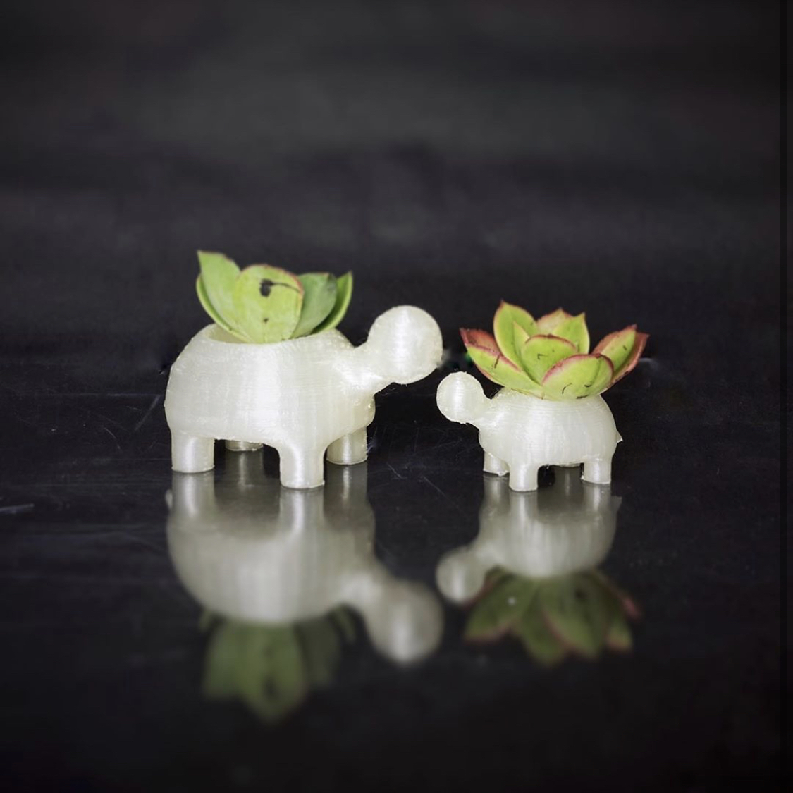 3D Printable Succulent Pots | Turtles