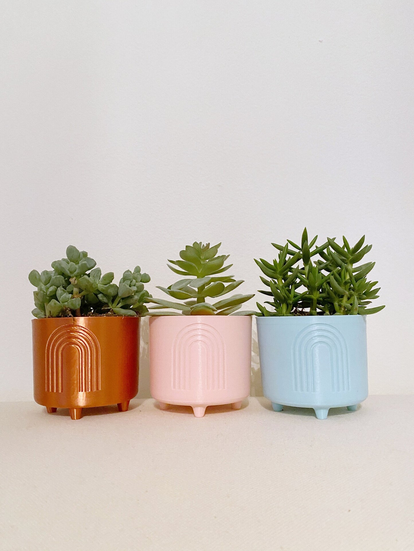 Cute Modern Planters