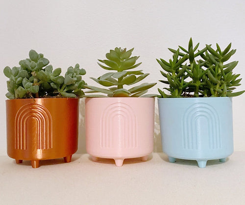 Cute Modern Planters