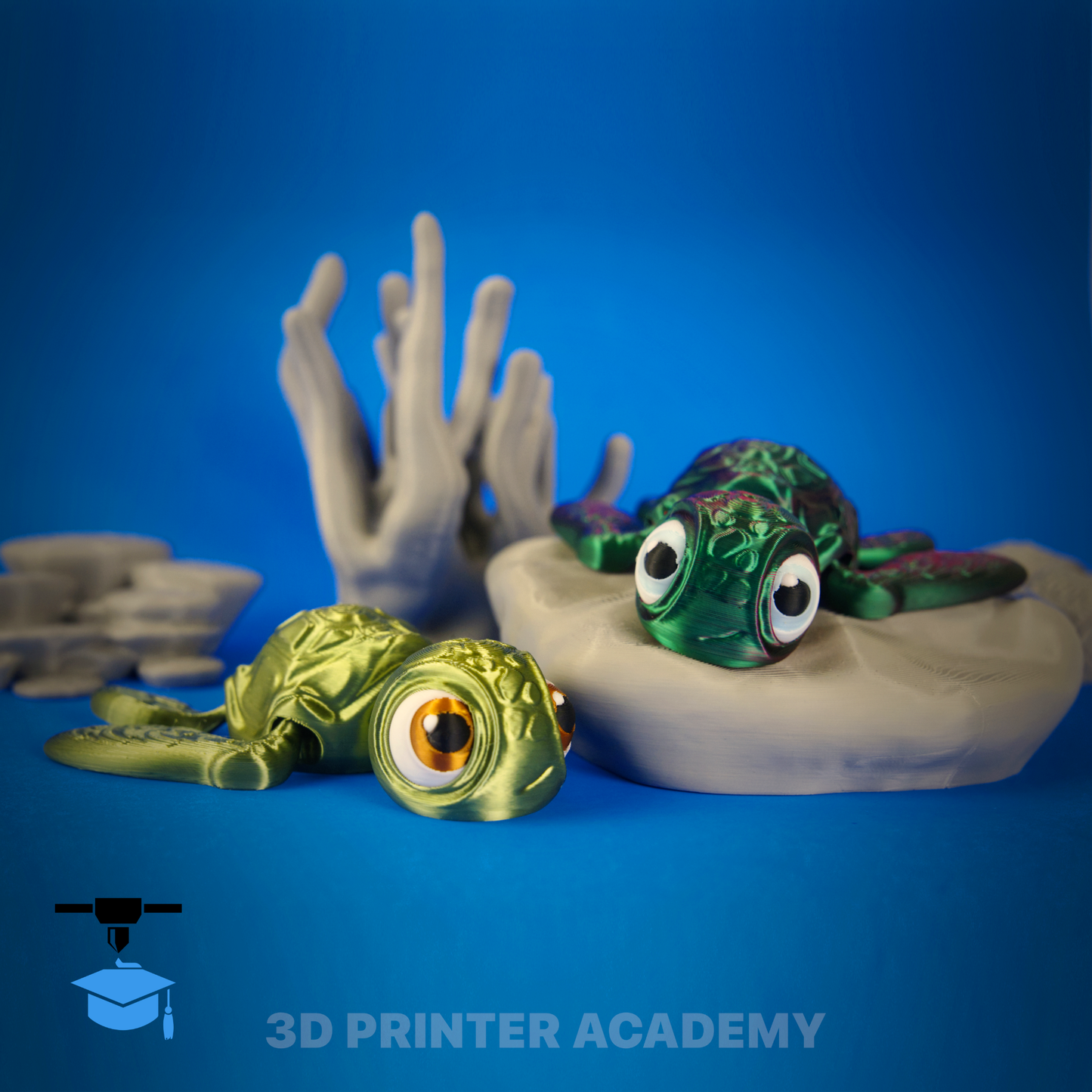 Baby Turtle – 3D Printer Academy