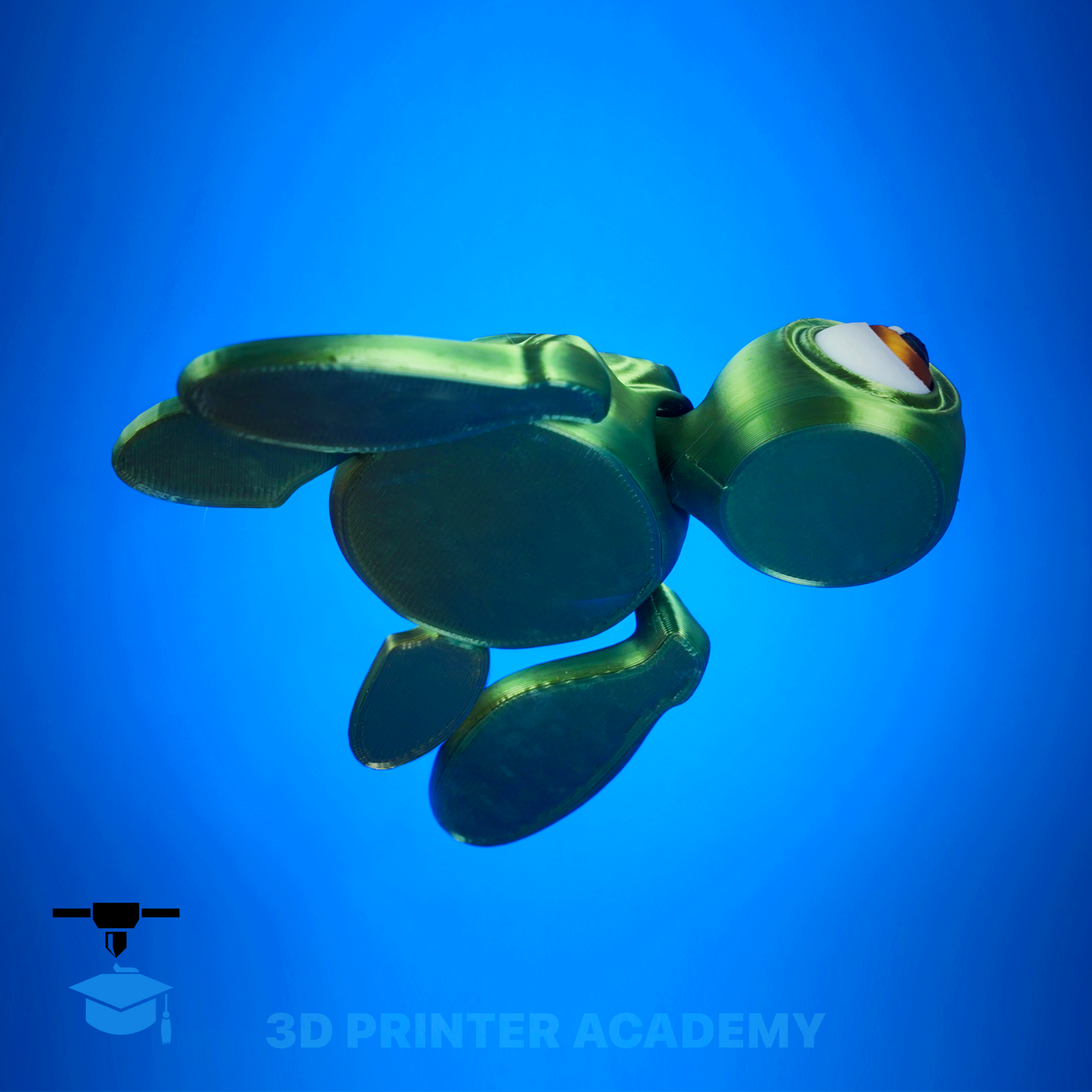 Baby Turtle – 3D Printer Academy