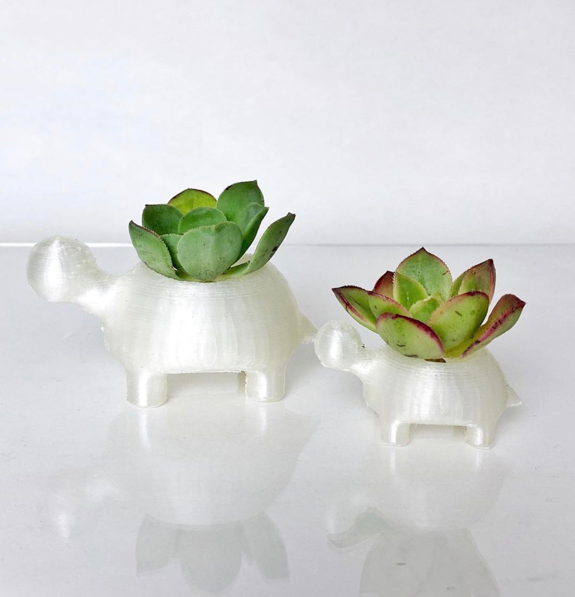 3D Printable Succulent Pots | Turtles