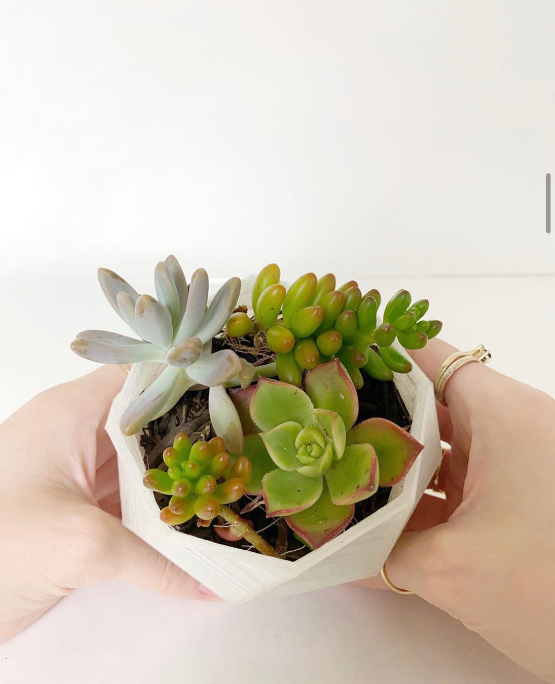 3D Printable Succulent Pots | Geometric Set