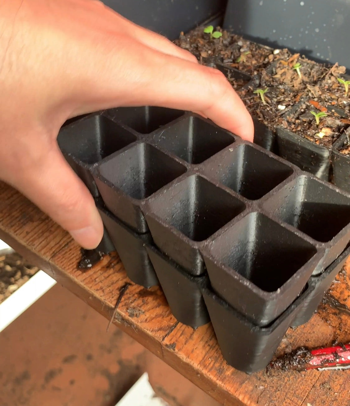 Re-usable Seed Trays