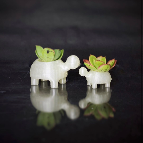 3D Printable Succulent Pots | Turtles